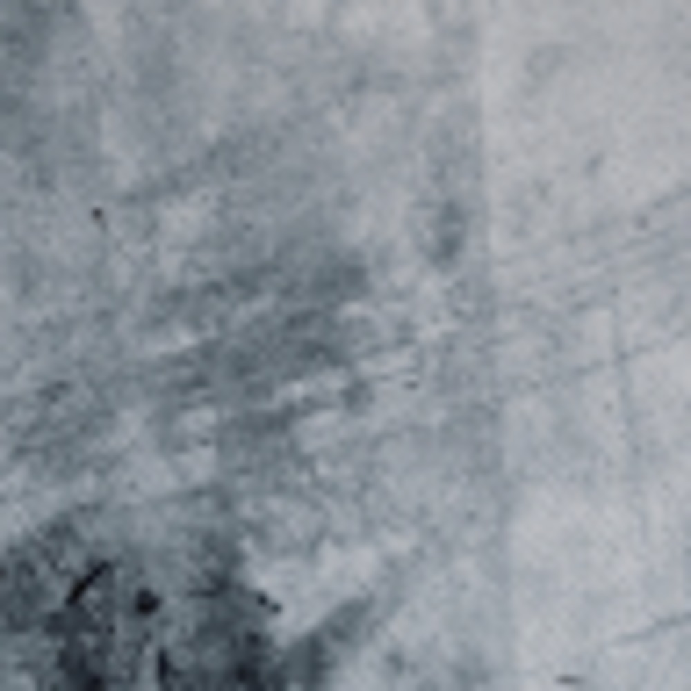 Meet your Posher, Darian